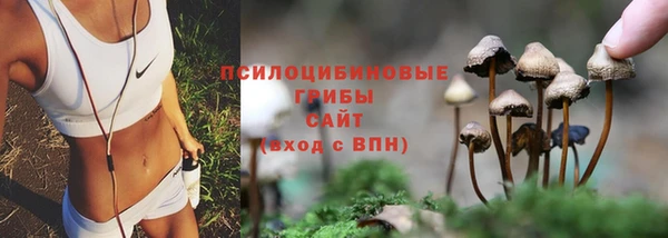 хмурый Алзамай