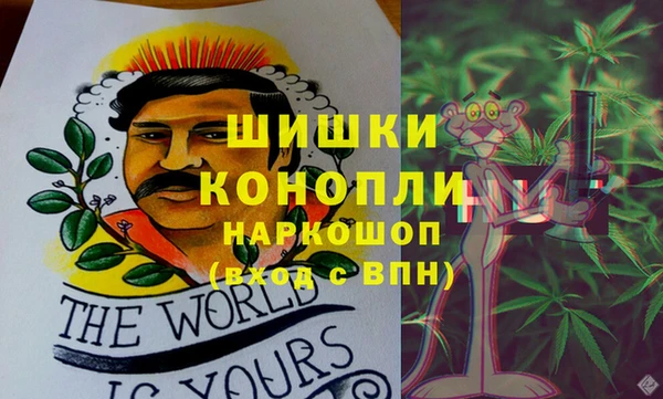 хмурый Алзамай