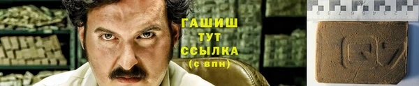 хмурый Алзамай