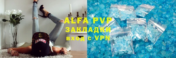 хмурый Алзамай