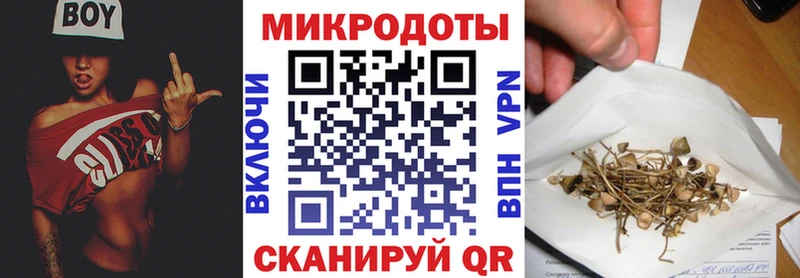 Галлюциногенные грибы Psilocybe  купить   гидра ссылка  Новосиль 