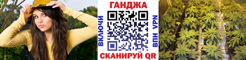 Каннабис планчик  наркота  Новосиль 